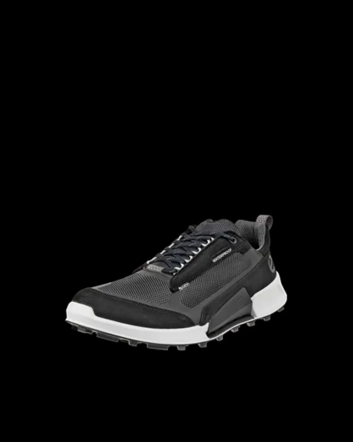 ECCO BIOM 2.1 X MOUNTAIN M Sort Fashion