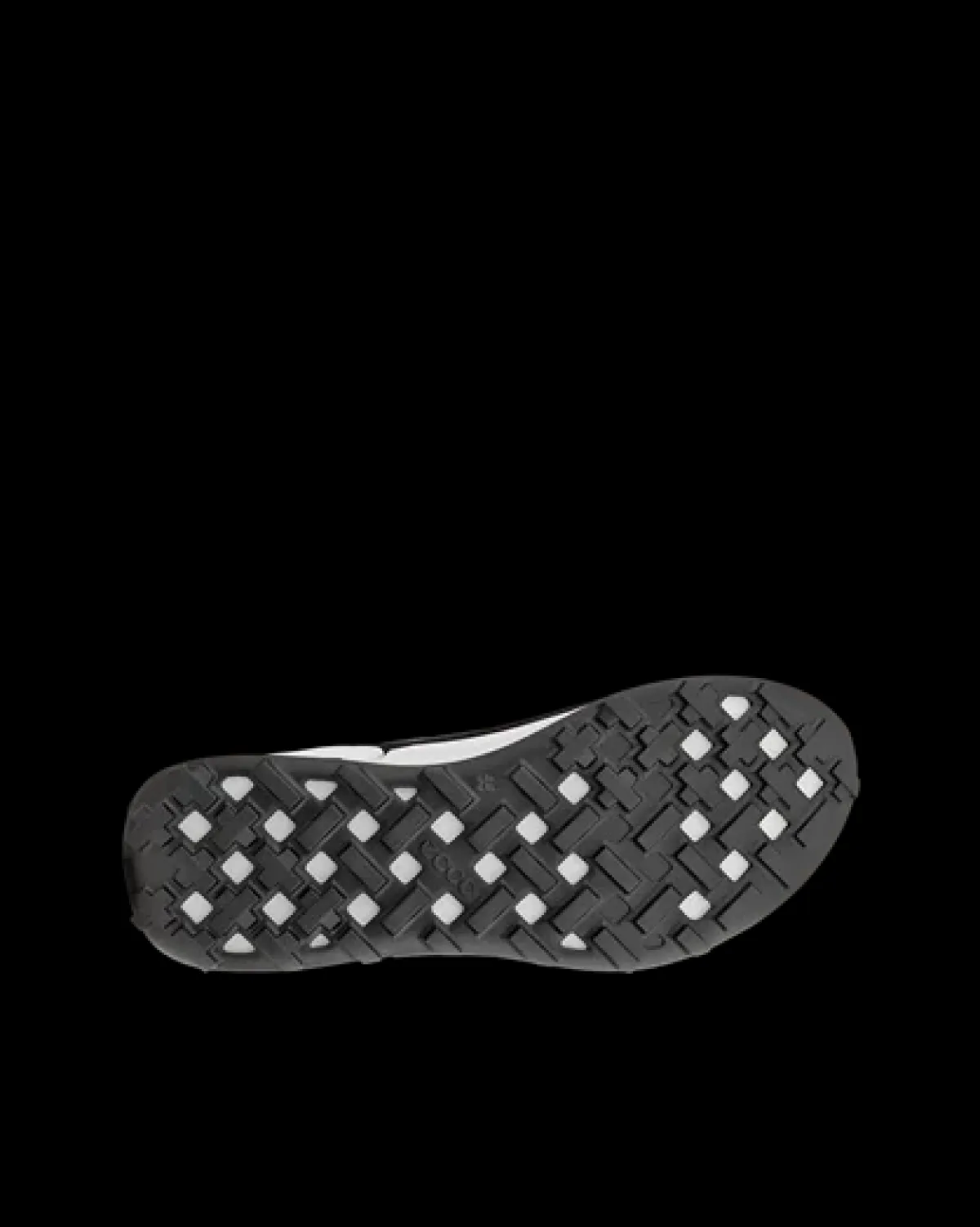 ECCO BIOM 2.1 X MOUNTAIN M Sort Fashion