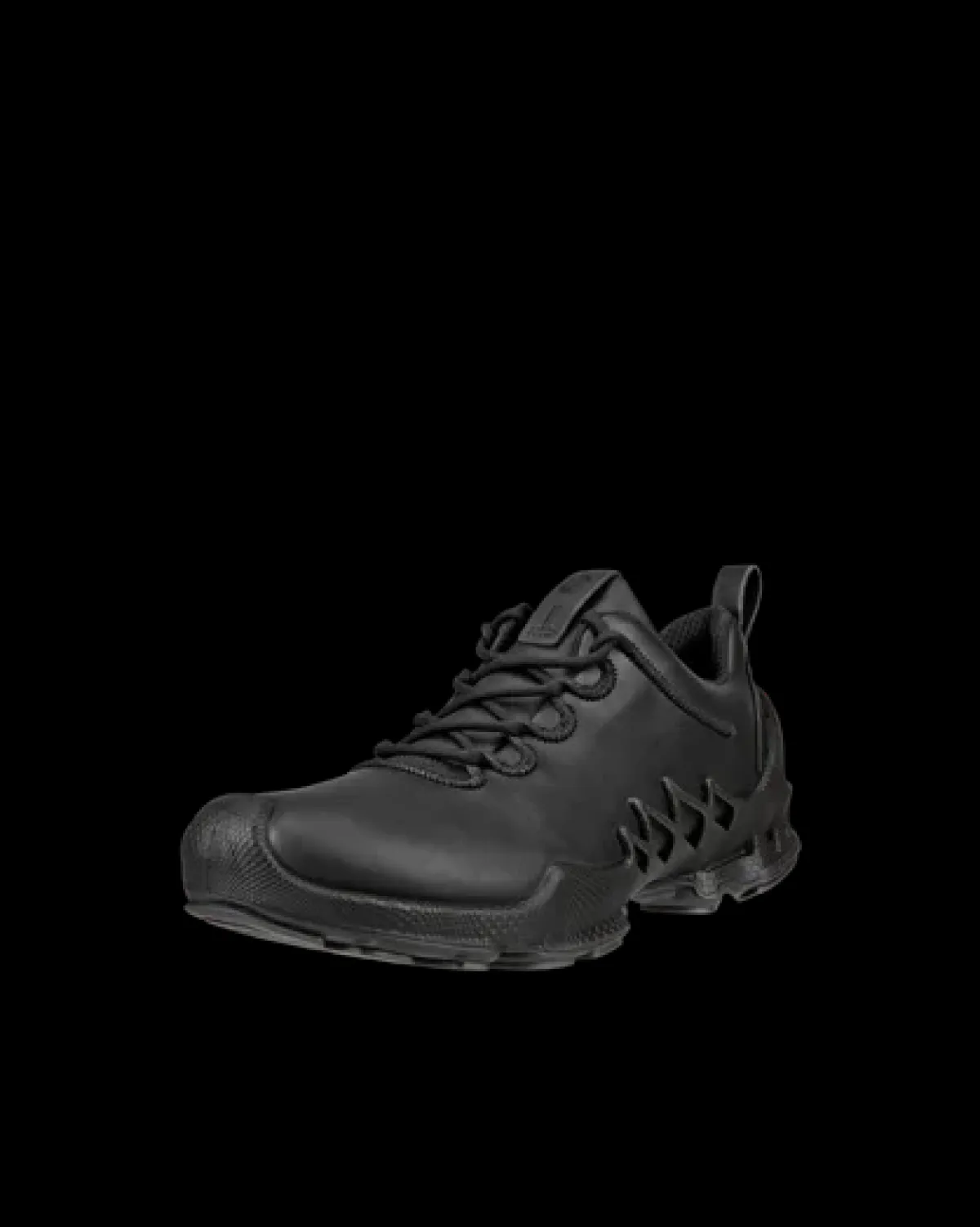 ECCO BIOM AEX W Sort Best