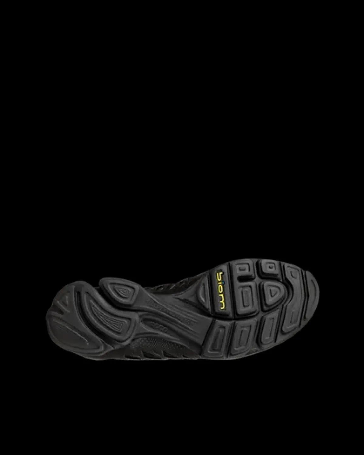 ECCO BIOM AEX W Sort Best